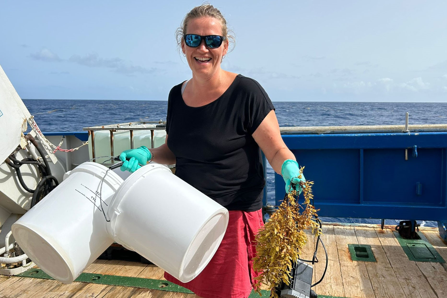 Débora Héroin is preparing for a new Sargassum growth experiment. (Photo Credit: Marine Guilbaud).
