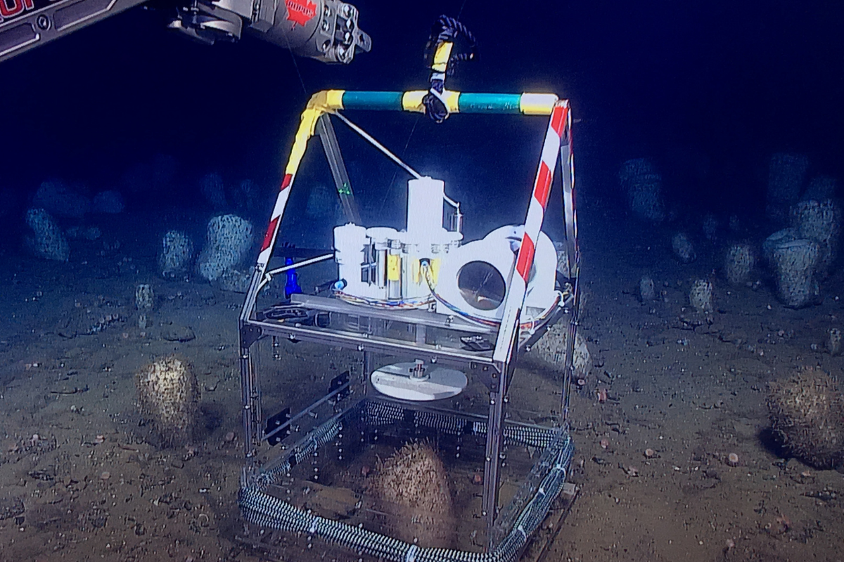 An example where another ROV was used is this sponge survey with benthic chambers on Schulz Bank, an underwater mid oceanic mountain range (photo: UiB)