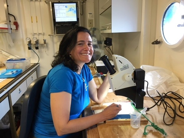 Linda examining plankton and plastic at the microscope in the lab on board.