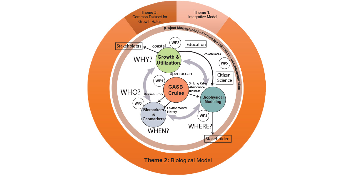 A schematic overview of the Weeds of Change research project, with the different work packages (WP) and research themes