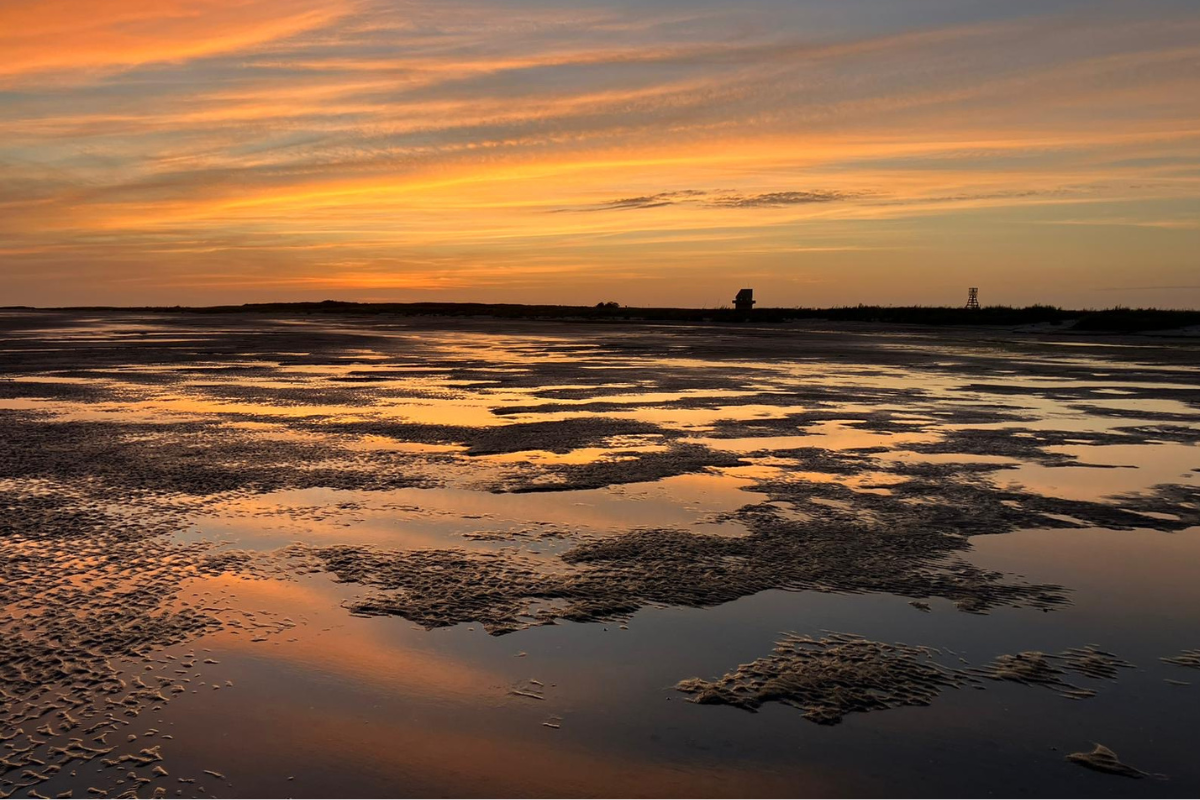 Griend at dusk, from the perspective of the mudflat (picture by Johannes Krietsch)