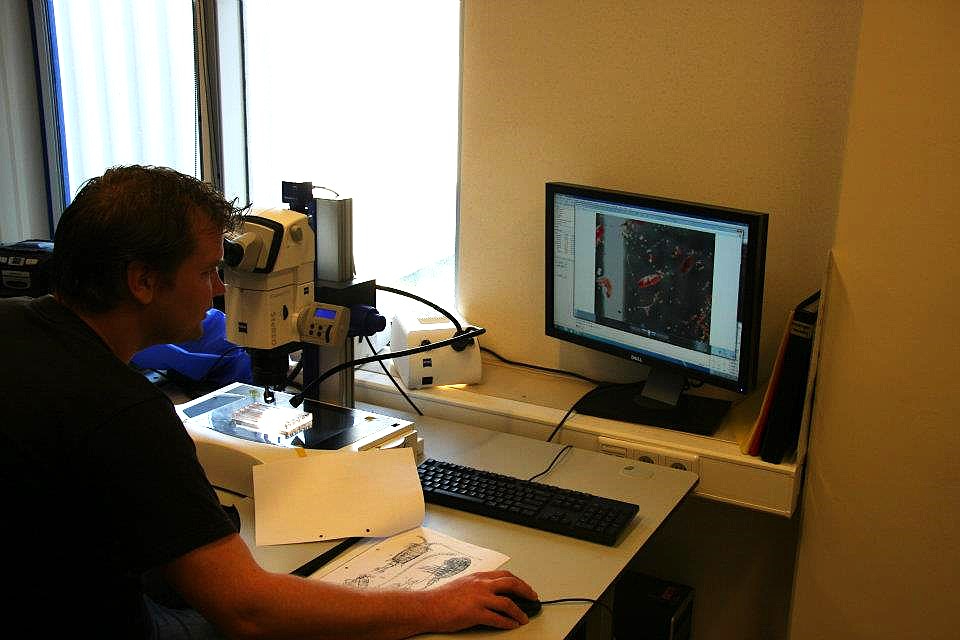 Identifying zooplankton for the NIOZ Ballastwater project (by Eva Immler 2012)