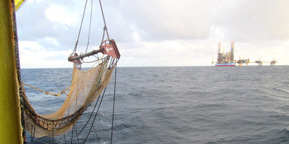 Unravelling the ecosystem effects of bottom trawling in the North Sea ...