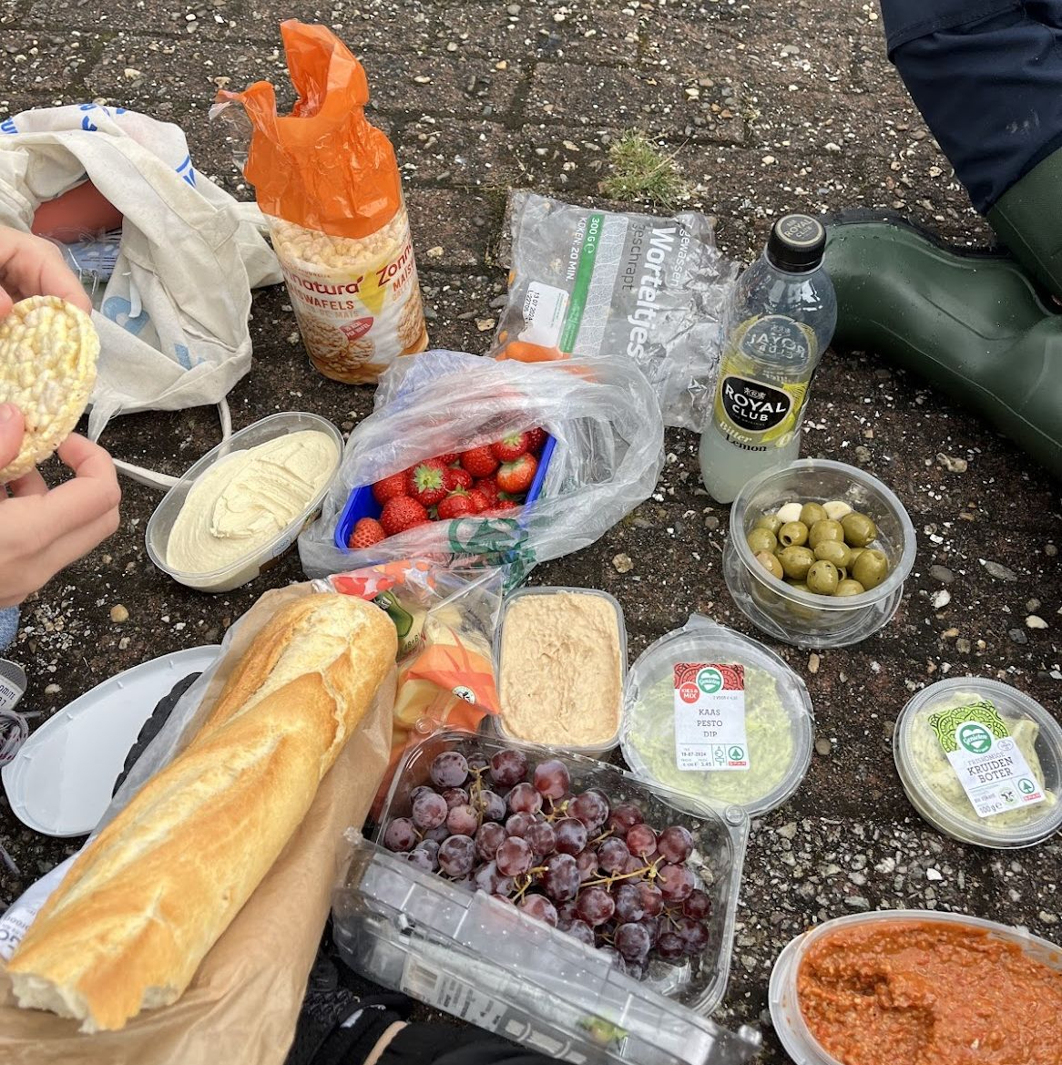 A peek at our picnic spread during the weekend excursion (photo credit: Madison Cicha). 