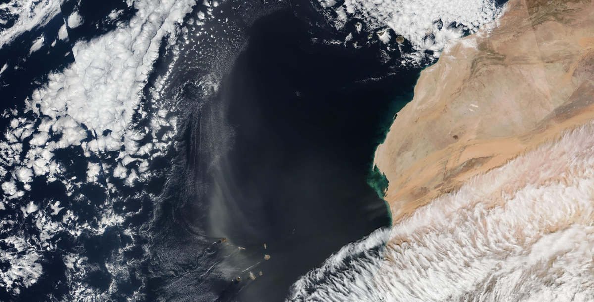 Satellite image (copyright NASA) of the study area on 17 January 2025