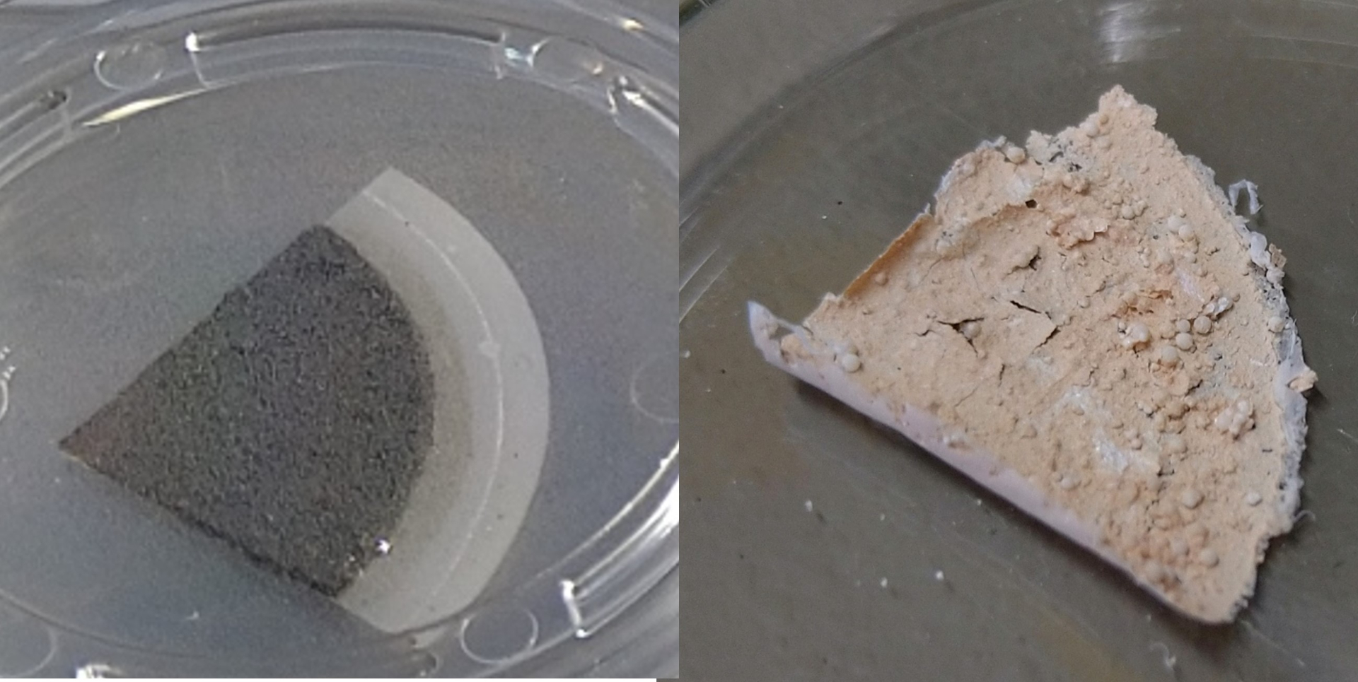 A quarter filter before and after the organic material has been removed in a so-called Low-Temperature Asher