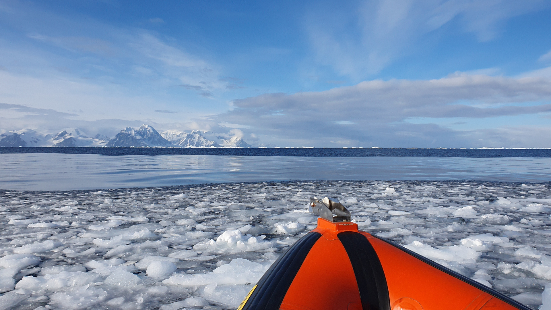 The coastal Southern Ocean in Ryder Bay, west Antarctic Peninsula. (Swan Sow, 2022)